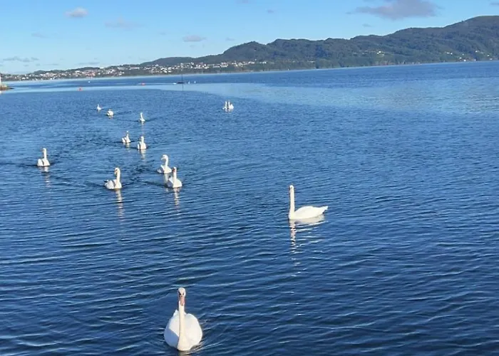 Feriehus Large House By The Sea
